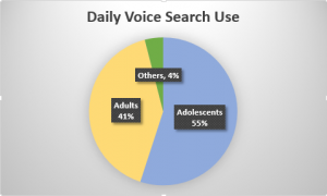 people who use voice search